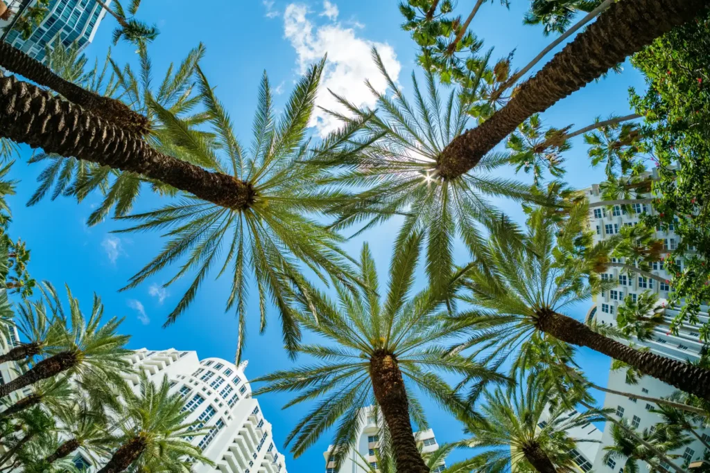 Quick cash offer for home tampa